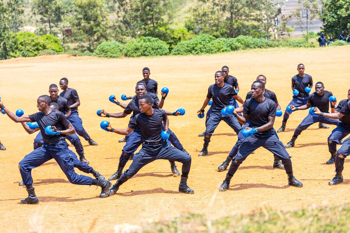 csm WhatsApp Image 2025 09 13 at 17.48.45 33db105a e679526db2