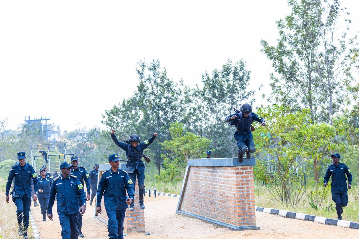 csm WhatsApp Image 2025 09 13 at 17.48.46 8e9c7bda 4b17a45561