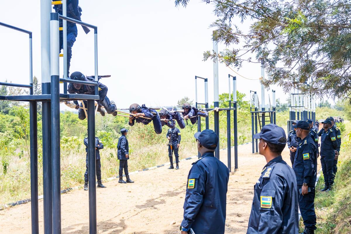 csm WhatsApp Image 2025 09 13 at 17.48.47 c84ba2a6 3bf9d14bc4