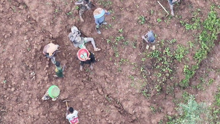 Polisi y’u Rwanda yafunze abantu 24 bacukuraga Zahabu 26