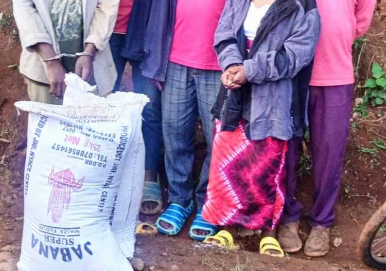 WhatsApp Image 2025 11 05 at 02.05.41