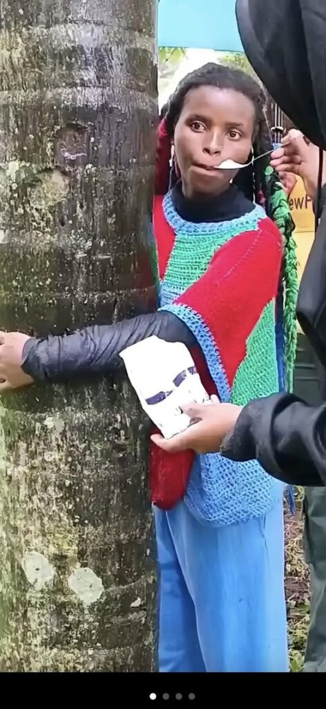 598795934 122227812788279355 4071851271721458163 n 472x1024 1