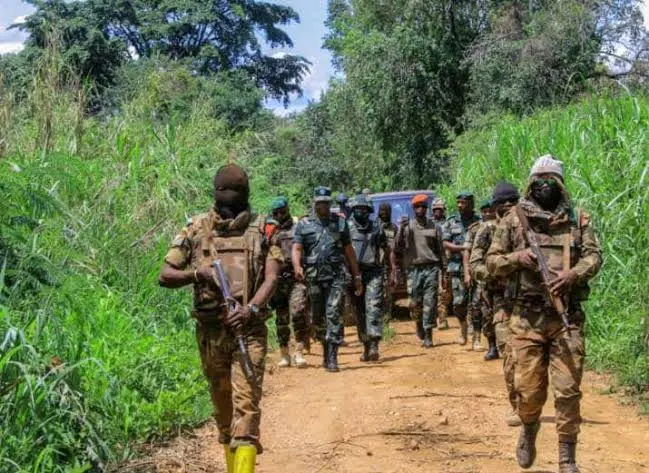 FARDC au front