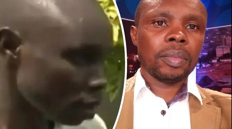 collage 1 3 800x445 1