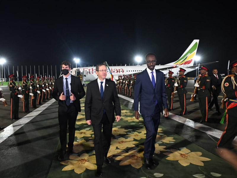 herzog ethiopoa feb.2026