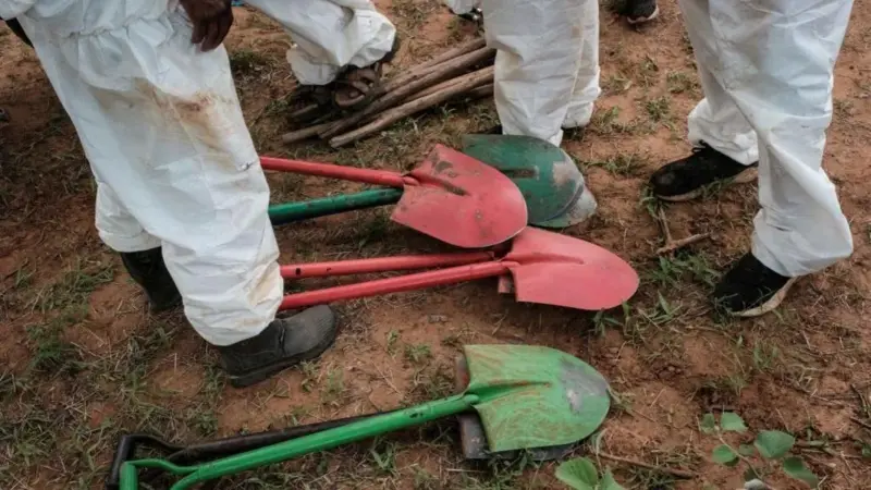 0aea210d 1e84 4243 abe9 be3624eeda03.jpg