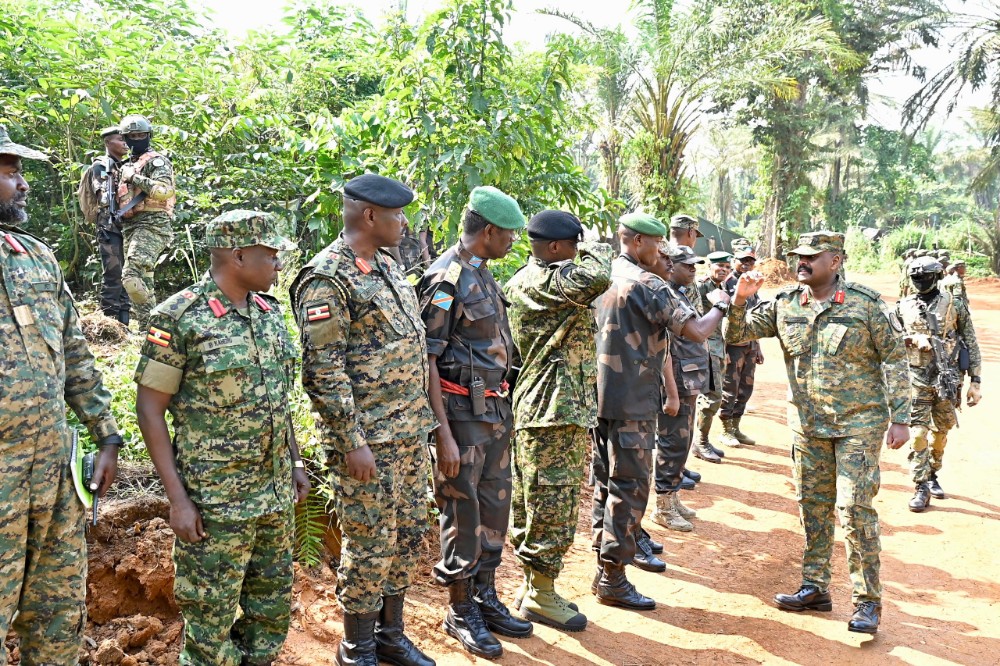 WhatsApp Image 2025 01 09 at