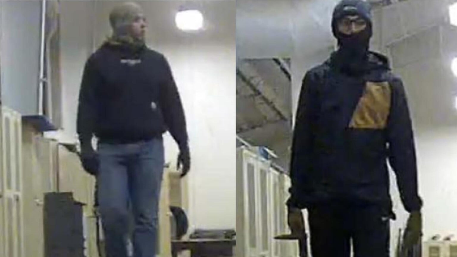 photo resize 2026 03 10t164629812 1536x864 1