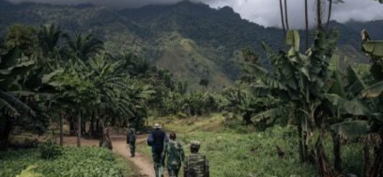 01000000-0a00-0242-89fa-08dc323d0df1_w408_r1_s