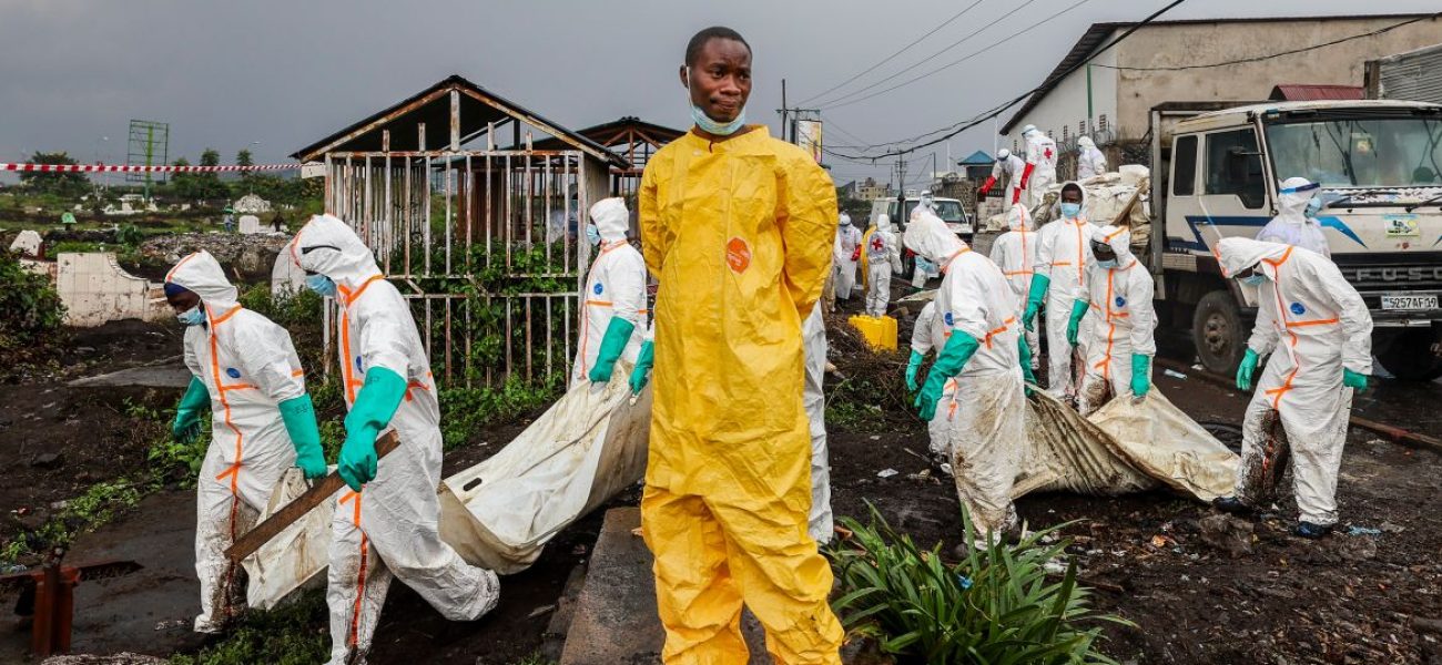 12798397-1738734465 (1)