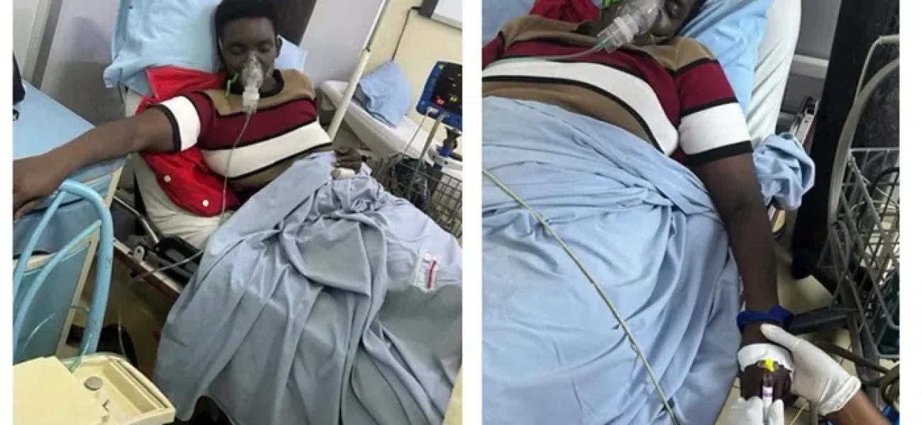 14469696-b775-46b1-b49b-72d3da6fbcd2