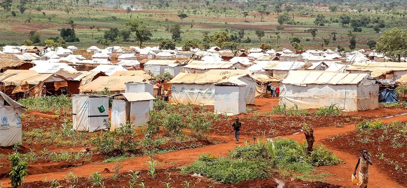 1ed2cf99-2186-4f52-8348-f5be94f3be80_1280x853