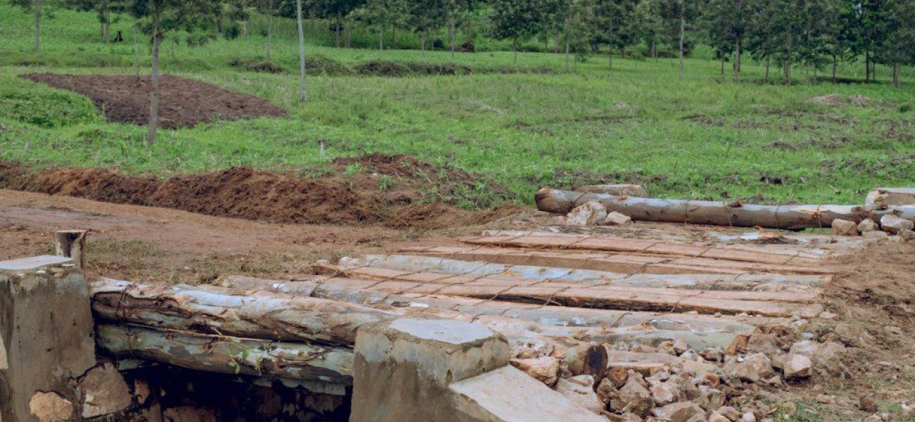 2025-04-02_11-45-25_5_copy_1000x666