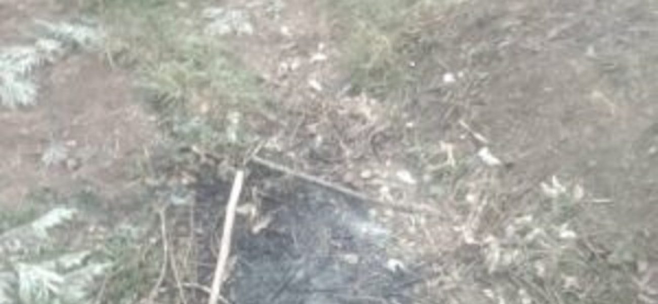 20251009_205311-300x300