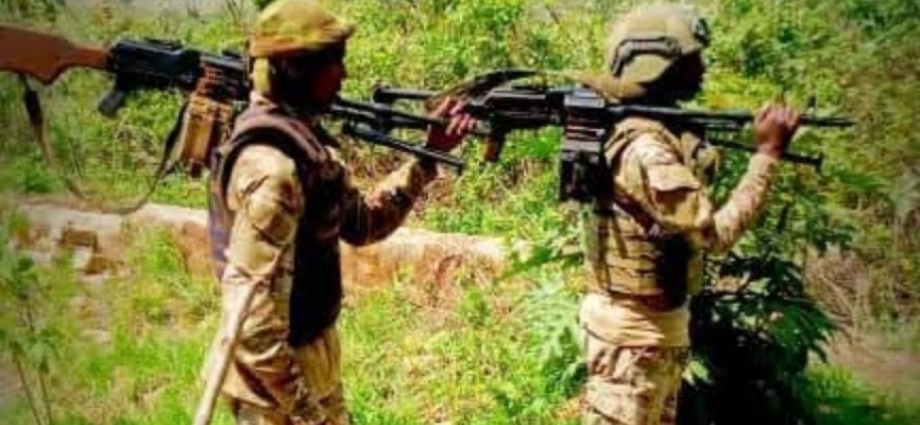 20251107_74654_copy_864x598