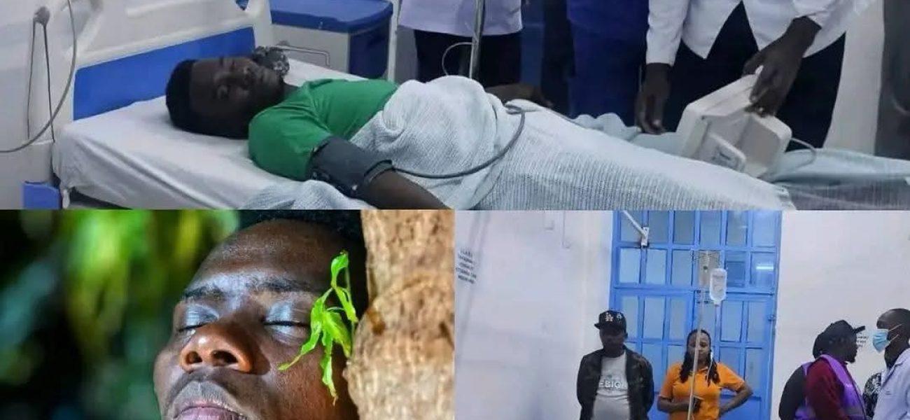 3bfe37b0-e975-4a36-b5ff-30d1a766b54d