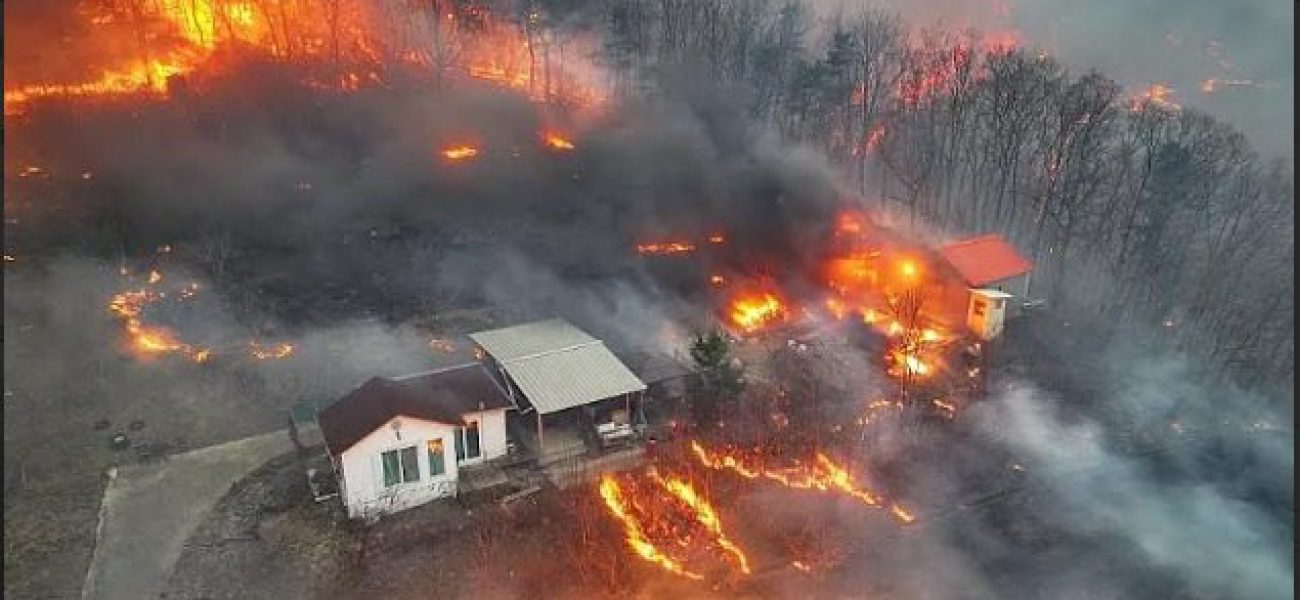 486146168_1050110557149756_6319554197648588295_n