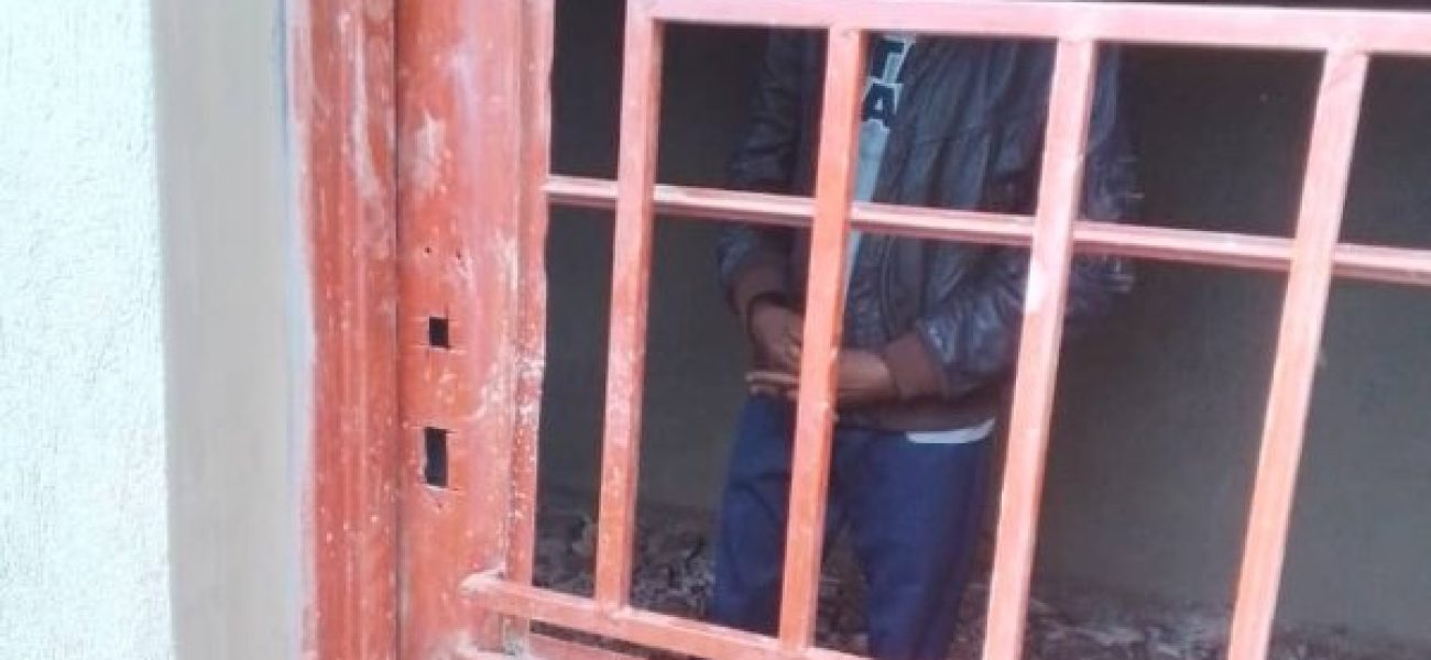 540ef289-8c00-4541-b5dc-36cdd8bfe841-0099c