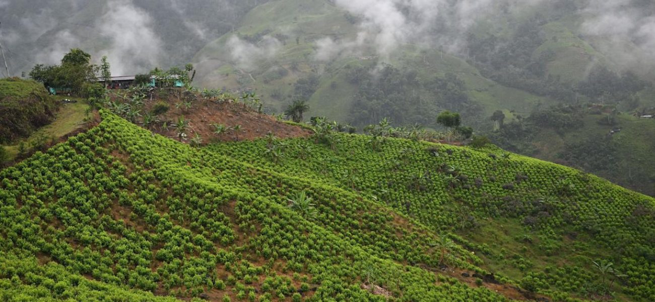 72a419d4742221b6b8225ab93330cb90