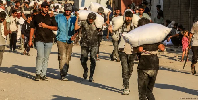 73425776_1004