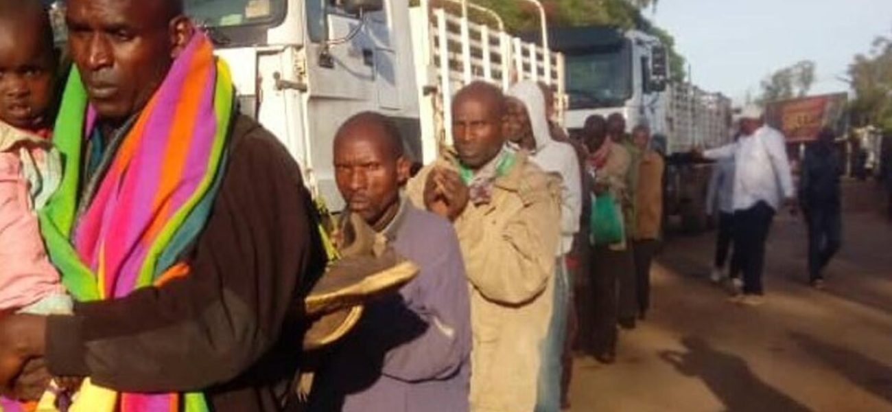 932-2303bitmap_1200_nocrop_1_1_20191221163031377171-FDLR1_BON-1200x900