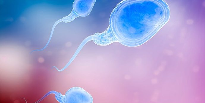 98561901-14859221-Research_suggests_male_infertility_is_a_factor_in_about_half_of_-a-63_1751240476210