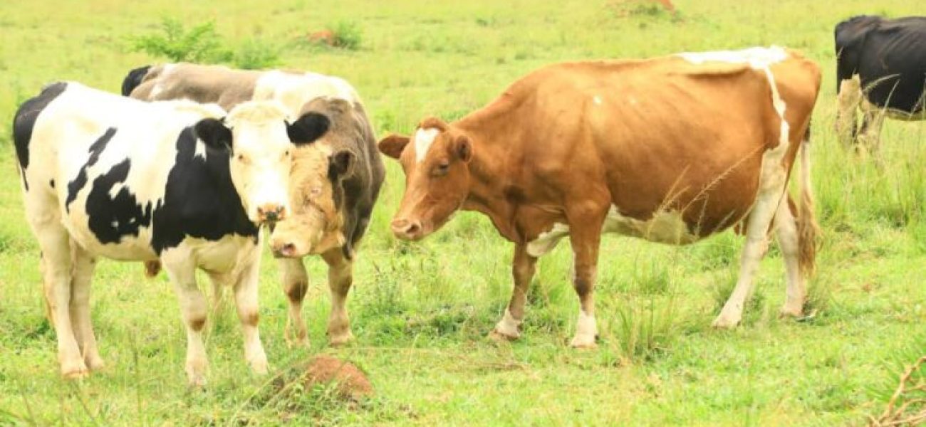 99898D52-3145-44E8-98FD-F9DCBC32CF5F