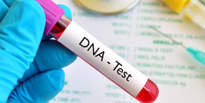 DNATest.Dreamstime-1024x538-1024x538-1
