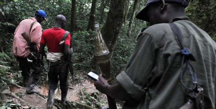 Des soldats Rebel de FDLR à l’Est de la RDC le 06/02/2009. Radio Okapi.net