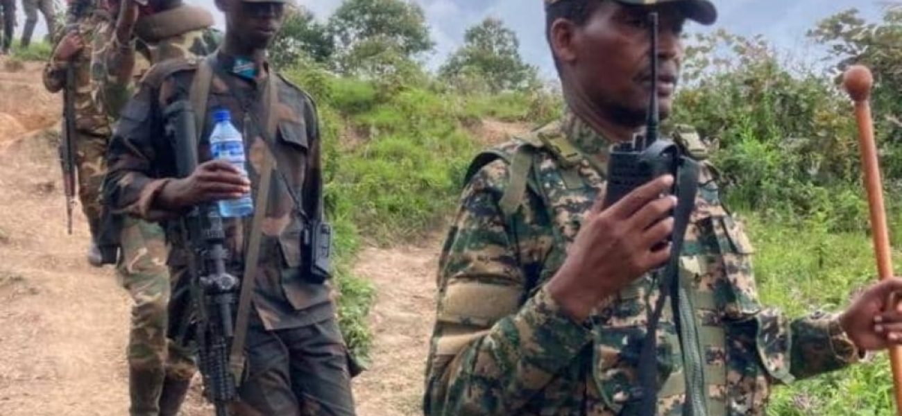 Go5fafdXAAEg9Vr_1_copy_1000x666