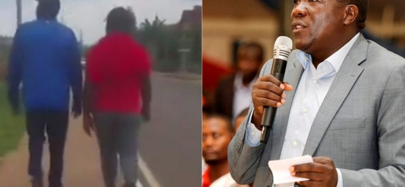 GridArt_20241227_144704705