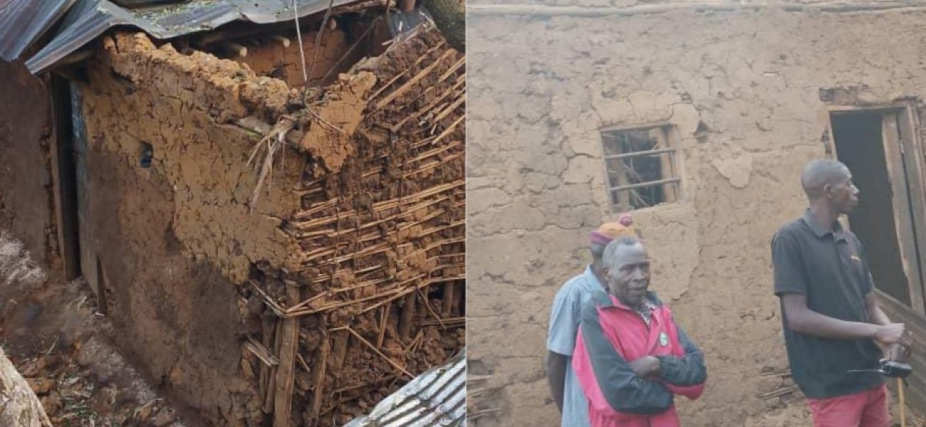 GridArt_20251002_102237907