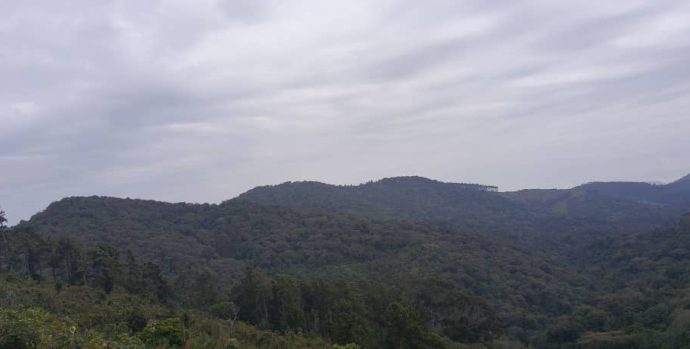 IMG-20250102-WA0012