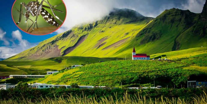 Iceland-mosquitos-free