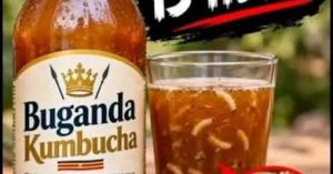 Kambucha