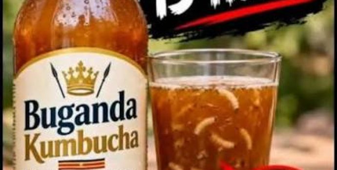 Kambucha