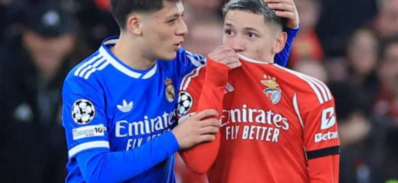 M2E3MWZjM2JjZjJhMjAwMzEzODAvZGlvLzI3MDYxNzE4OS9maXQtd2lkdGgvODAw