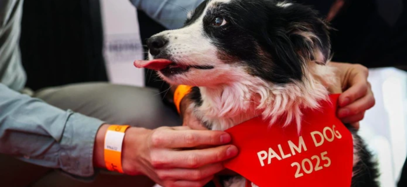 Screenshot_20250524-071540~2