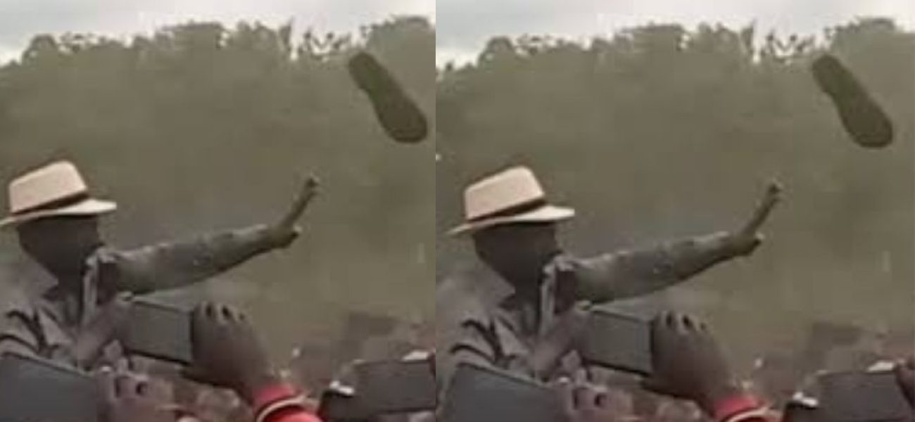 Untitled-design-2025-05-04T231123.049