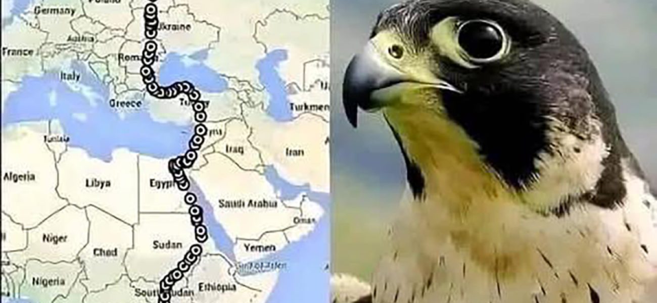 WhatsApp Image 2025-08-08 at 09.39.34