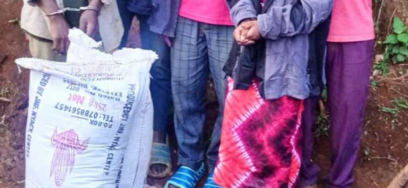 WhatsApp-Image-2025-11-05-at-02.05.41