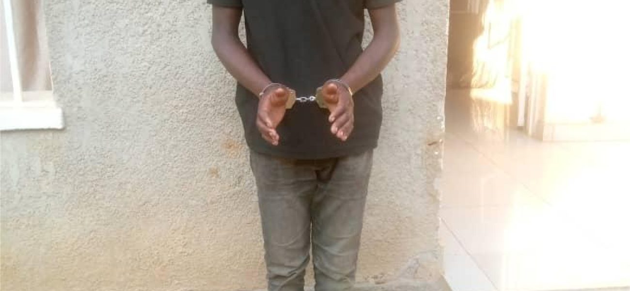 WhatsApp_Image_2025-02-11_at_16.35.14_72cea978