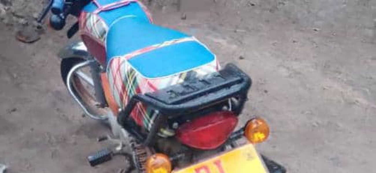 WhatsApp_Image_2025-02-19_at_16.20.24_20643360