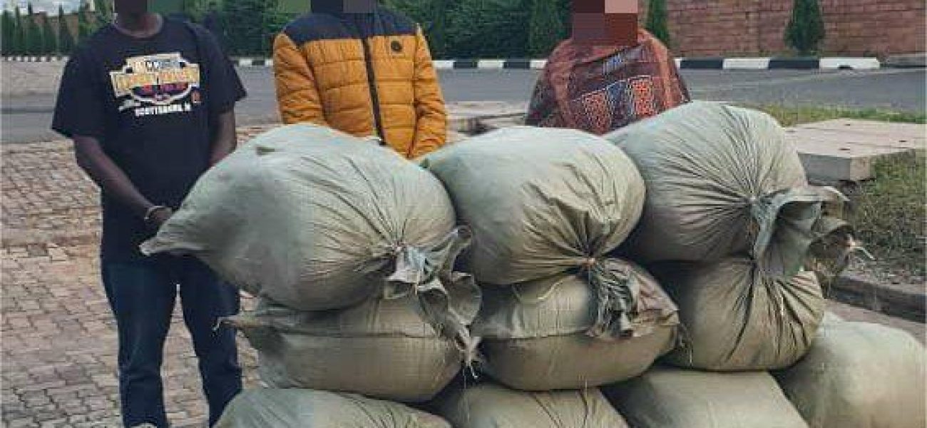 WhatsApp_Image_2025-02-28_at_4.45.49_PM