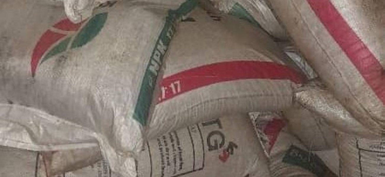 WhatsApp_Image_2025-05-21_at_5.49.43_PM