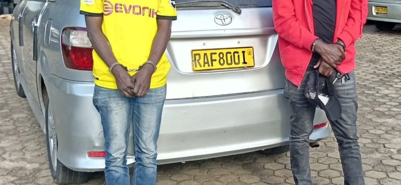 WhatsApp_Image_2025-06-04_at_17.24.42_0cd1e6f1