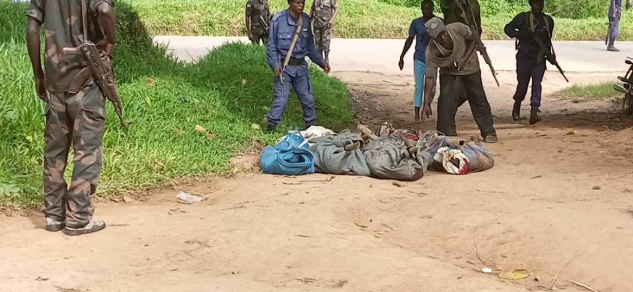 bitmap_1200_nocrop_1_1_20231024095448156084_550efc82-b082-4723-b99c-499e245b5b62