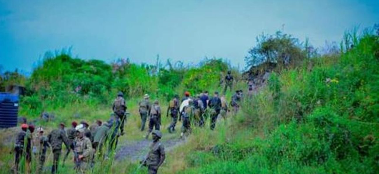 bitmap_500_nocrop_1_1_20231001103829819895_baa59df8-c70c-4fcb-a7ba-9636d2cc231d