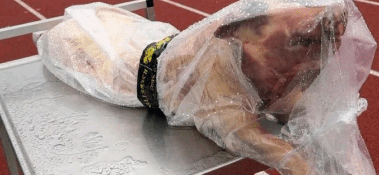 c00b9542-1432-4053-adfb-79e473702abe