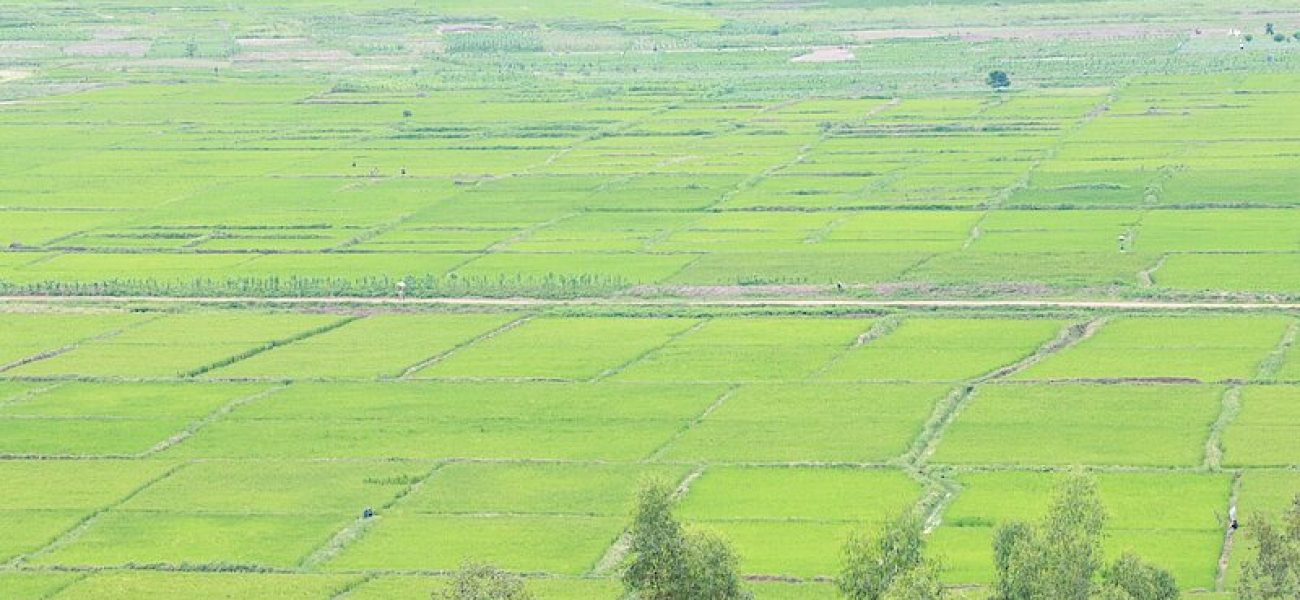 csm_UMUCERI7_5c20ef39ef